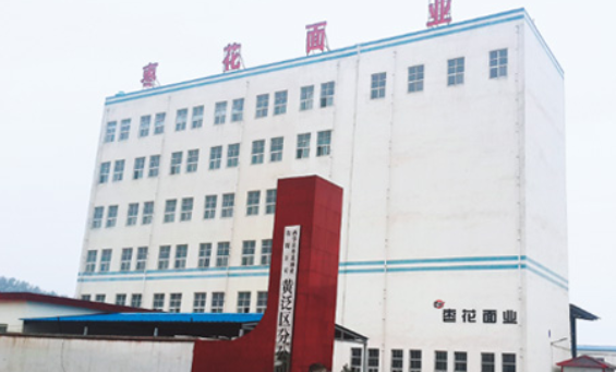 Zaohua Flour Industry 500TPD Wheat Flour Milling Plant