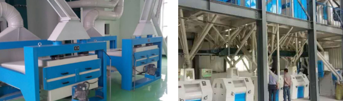 Buckwheat Flour Milling Line in Ruichun Industry(pic1)