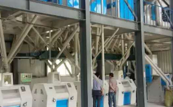 Buckwheat Flour Milling Line in Ruichun Industry