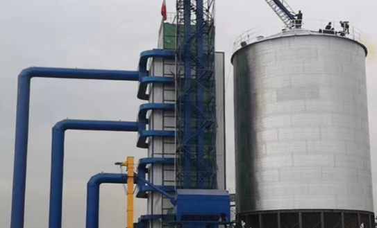 Continuous Seeds Drying Machine with Storage Silo for Yuncheng Kaide Seeds