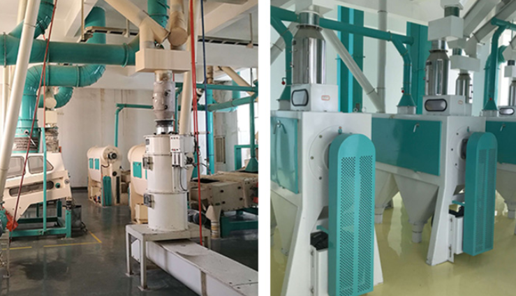 Wheat Flour Milling Plant 500TPD(pic1)