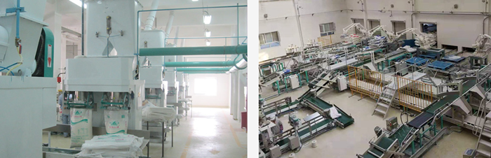 Wheat Flour Milling Plant 500TPD(pic4)