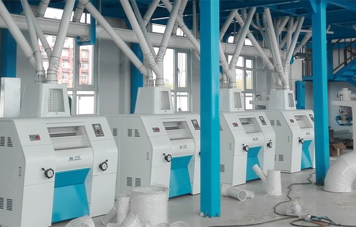 Daily Maintenance of Flour Processing Equipment