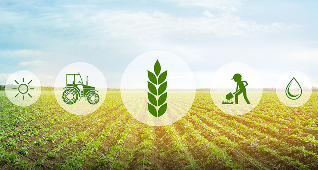 UGOOD Group- Helping the Development of the Global Grain Industry Chain