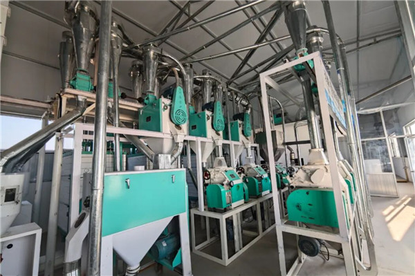 UGOOD Group Promotes Wheat Flo