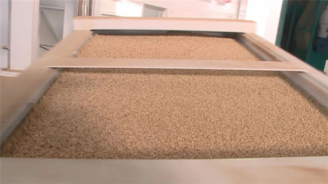 UGOOD Group assists Dalong Rice Industry in building a green and healthy rice brand(pic3)