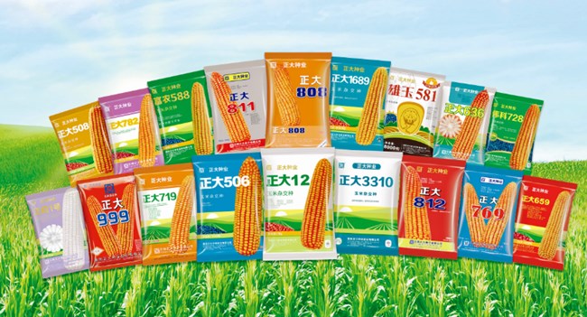 Ugood Corn Seeds Threshing Machines Exported to CP Seeds Company