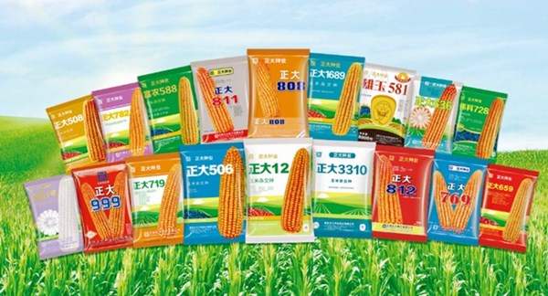 Seeds Corn Threshers Exported to CP Seeds Company(pic6)