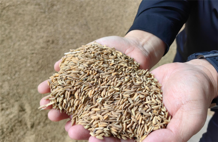 ​He rose from a small workshop to a large rice processing plant with the assistance of UGOOD(pic2)