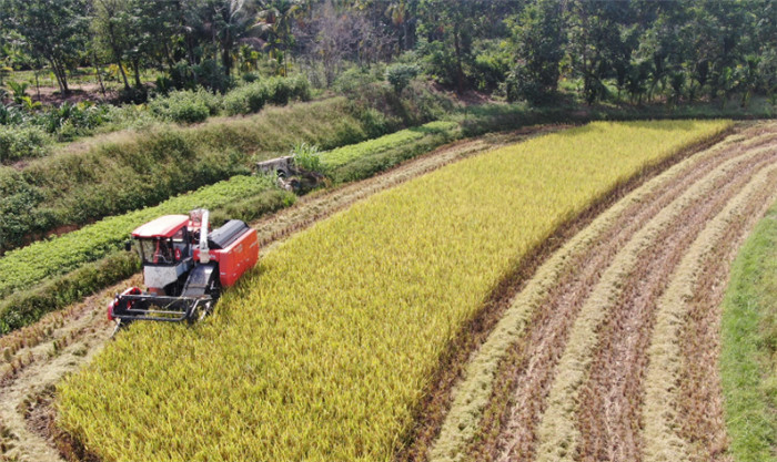​He rose from a small workshop to a large rice processing plant with the assistance of UGOOD(pic4)
