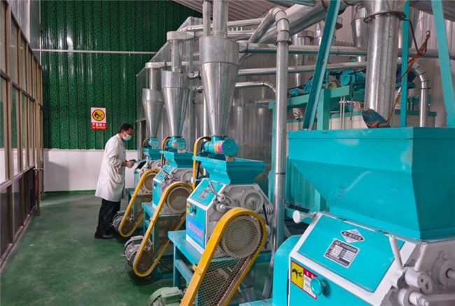 UGOOD Supports the Development of the Entire Grain Industry Chain in Pan'an Town