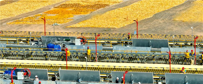 UGOOD Group Supports Fully Automated Corn Seed Production in Zhangye Gansu(pic1) UGOOD Group Supports Fully Automated Corn Seed Production in Zhangye Gansu(pic1)