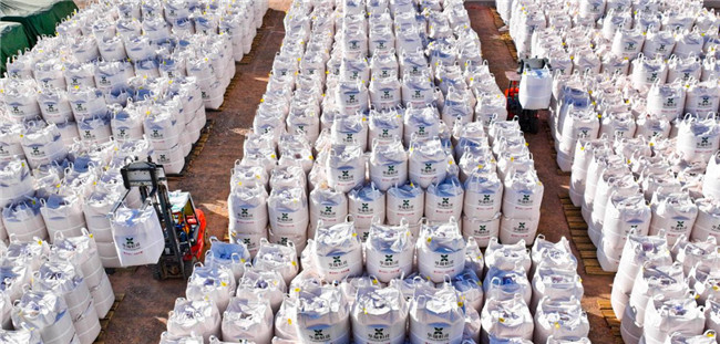 UGOOD Group Supports Fully Automated Corn Seed Production in Zhangye Gansu(pic7) UGOOD Group Supports Fully Automated Corn Seed Production in Zhangye Gansu(pic7)