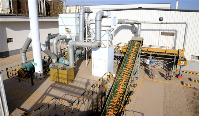 Ugood seed production line has begun operation in Linze County.(pic1) Ugood Seed Production Line Has Begun Operation in Linze County(pic1)