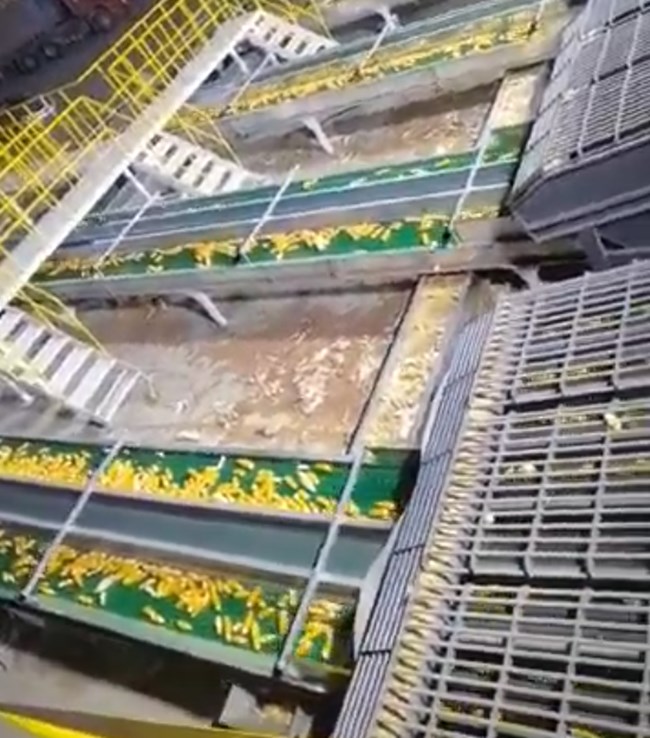 UGOOD Group Supports Fully Automated Corn Seed Production in Zhangye Gansu(pic3) UGOOD Group Supports Fully Automated Corn Seed Production in Zhangye Gansu(pic3)